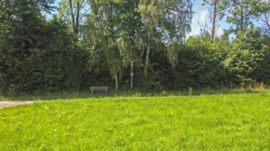 Grafenau yakınlarındaki Bavyera Ormanı 'nda yaz güneşinde çayır tarlaları ve dağlarla mavi gökyüzü ve yemyeşil doğa manzarası, Almanya