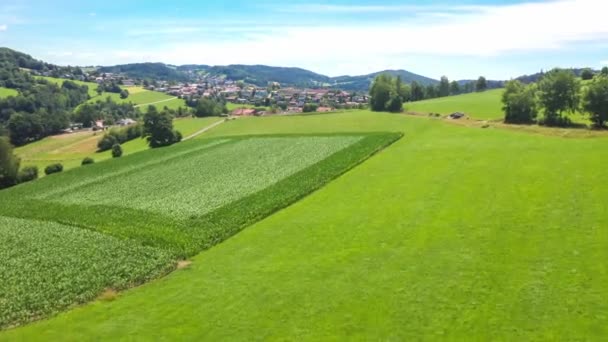 Filmaufnahmen Einer Saftig Grünen Naturlandschaft Des Bayerischen Waldes Bei Grafenau — Stockvideo