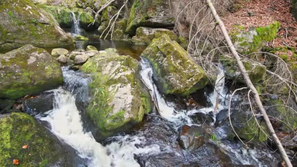 Aufnahme Eines Wasserfalls Wilden Gebirgsbach Der Steinklamm Spiegelau Bayerischen Wald — Stockvideo