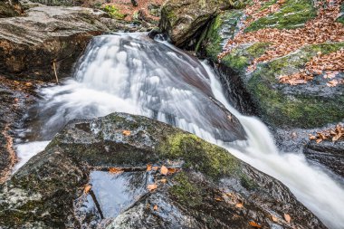 Almanya 'da Spiegelau' da Almanya 'da Steinklamm adı verilen akıntı ve vahşi nehir.