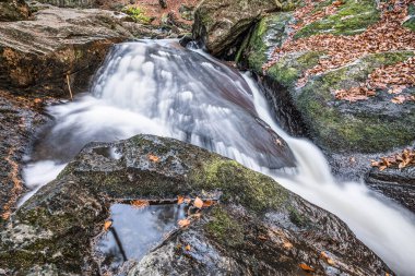 Almanya 'da Spiegelau' da Almanya 'da Steinklamm adı verilen akıntı ve vahşi nehir.