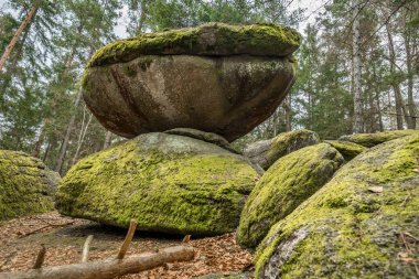 Wackelstein, Almanya 'nın Bavyera Ormanı' nda kışın meydana gelen granit kaya oluşumuna yakın.