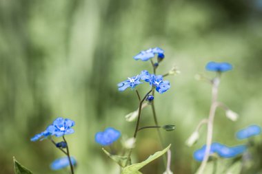 Almanya 'da bir kaya bahçesinde 