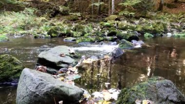 Almanya 'nın Bavyera Ormanı' ndaki Ringelai 'de Buchberger Boğazı Leit Doğa Koruma Alanı