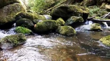 Almanya 'nın Bavyera Ormanı' ndaki Ringelai 'de Buchberger Boğazı Leit Doğa Koruma Alanı