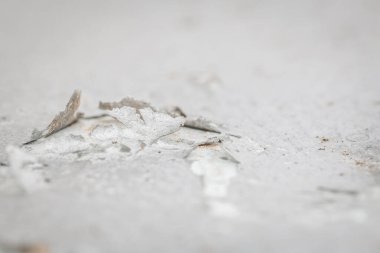 Almanya 'nın teneke çatısında çatlamış ve patlamış bir boya tabakasının yakın çekimi.