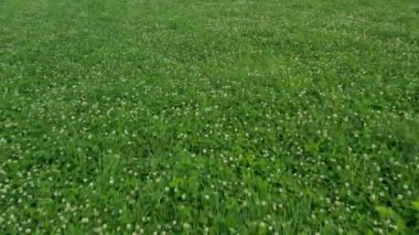Almanya 'daki yeşil bir çayırın üzerinden geçen bir uçuşun kamera görüntüleri.
