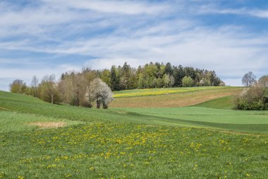 Alanlar ve çayırlar Bavarian Forest, Almanya için