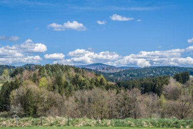 Almanya 'nın Bavyera Ormanı' ndaki Lusen Dağı manzarası