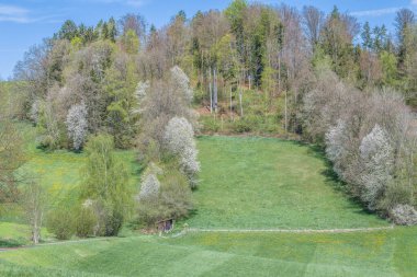 Alanlar ve çayırlar Bavarian Forest, Almanya için