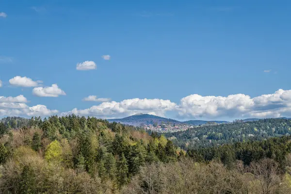 Almanya 'nın Bavyera Ormanı' ndaki Lusen Dağı manzarası