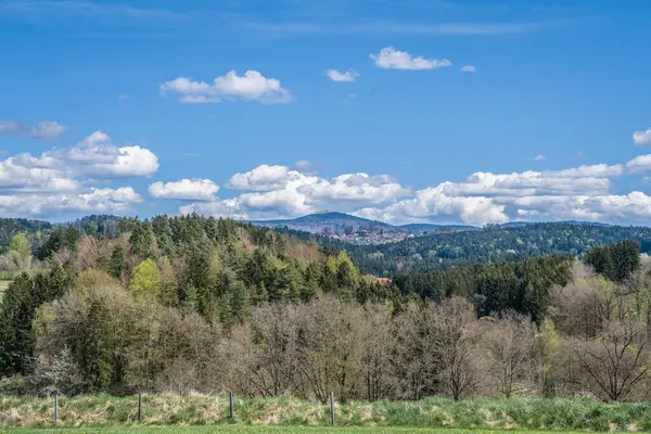 Almanya 'nın Bavyera Ormanı' ndaki Lusen Dağı manzarası