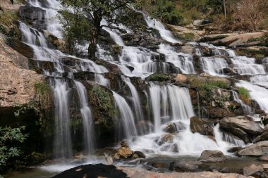 Chiang Mai Eyaleti 'ndeki Mae Ya Şelalesi tüm yıl boyunca çok yüksek suyu olan güzel bir şelaledir. Şelale, Tayland 'da güzel bir orman parkında Şubat 2024' te