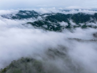 Sis denizinin yüksek açılı manzarası birçok orman alanını keşfediyor. Mükemmelliğin merkezinde yer alan orman gökyüzü efsanesi. Ve buranın manzarası kışın nefes kesici zirvesidir. 