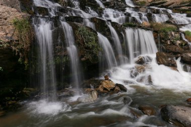 Chiang Mai Eyaleti 'ndeki Mae Ya Şelalesi tüm yıl boyunca çok yüksek suyu olan güzel bir şelaledir. Şelale, Tayland 'da güzel bir orman parkında Şubat 2024' te