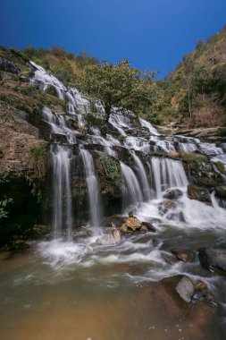 Chiang Mai Eyaleti 'ndeki Mae Ya Şelalesi tüm yıl boyunca çok yüksek suyu olan güzel bir şelaledir. Şelale, Tayland 'da güzel bir orman parkında Şubat 2024' te