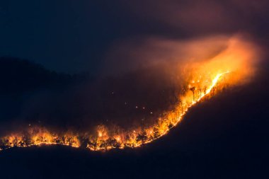 Orman yangınlarıyla kavrulan dağların ve ormanların gece manzarası korkutucu görünüyordu. Turuncu orman yangını alacakaranlıkta mavi arka plan