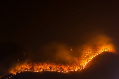 Chiang Mai 'deki dağlarda geceleri turuncu orman yangını şiddetleniyor. Muazzam miktarda zehirli toz ve dumana neden olur. Yangınlar yaz boyunca ormanları ve vahşi yaşamı yok ederek devam ediyor..