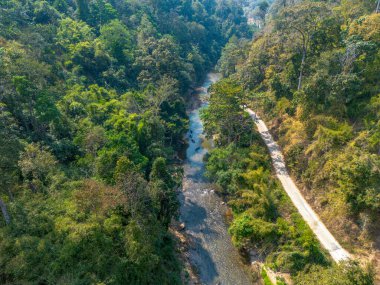 Ormanın ortasındaki yüksek açılı nehir ve beton yol Tayland 'ın kırsal kesimindeki ormanda.