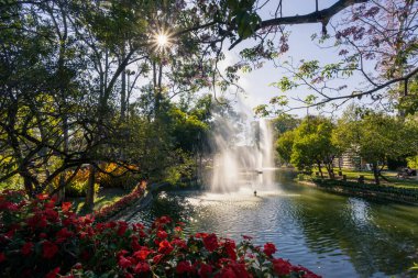 Park manzarası, gölet, çeşme, gölgeli ağaçlar ve çiçek bahçesi. Şehrin ortasında rahatlamak ve doğayı hissetmek için bir yer..