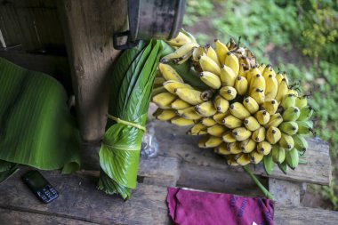 Yeşil muz yapraklarına sarılı seçici odak orman köylerinde yiyecek sarmak için taze yapraklar kullanılır. Sarı muzlar var. Muz yapraklarına sarılı muz yaprağı tatlısı yapmak Eski bir telefon