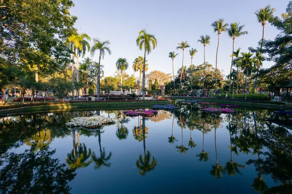 stock image Landscape in the park, pond, and reflection in the pond, shady trees, bright flower garden Coconut trees and palm trees. It is a place to relax and feel nature in the middle of the city.