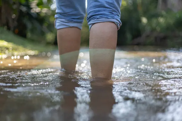 Selective focus of woman\'s legs folded, pants legs walking, wading in water in a natural forest