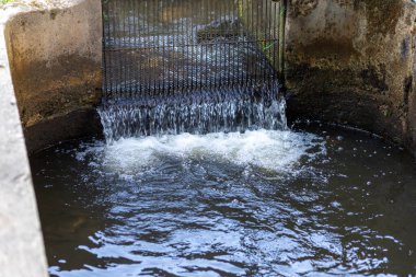 Atık su oluklarındaki suyu tedavi etmek için seçici odak ekranı, suyu berraklaştırır.