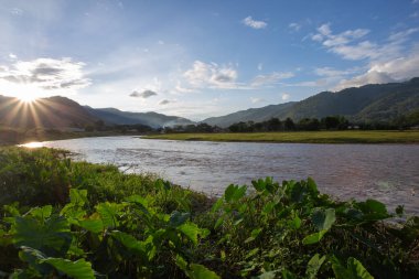 Manzara, nehir, dağlar, gün batımı çayır nehrinin iki kıyısı yeşil bitki, büyük yaprak taro ağacı Tayland kırsalında açık akşam gökyüzü