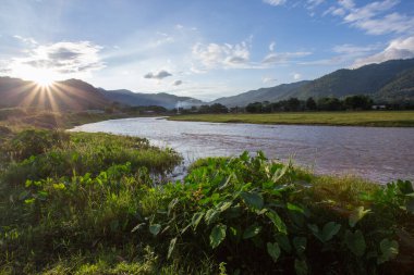 Manzara, nehir, dağlar, gün batımı çayır nehrinin iki kıyısı yeşil bitki, büyük yaprak taro ağacı Tayland kırsalında açık akşam gökyüzü