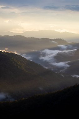 Yeşil orman dağları, gün batımından sonra yoğun, beyaz bir yağmur sisi vardı. Yağmur ormanı canlı görünüyor. Ama yalnızken kendini yalnız hissettirebilir..