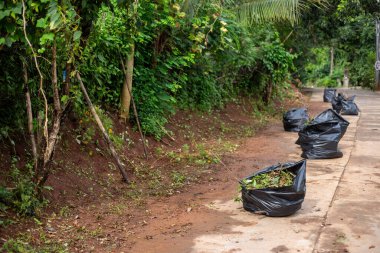 Toplumun her iki tarafındaki yabani otları temizlemek ve temiz görünmesi için yolun kenarındaki otları temizlemek için otlarla dolu seçici bir odak noktası..