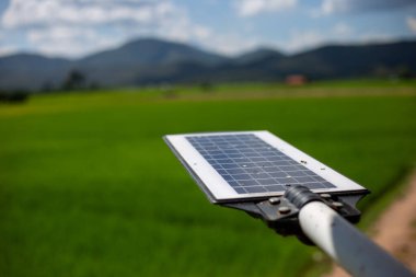 Seçici odaklı güneş panelleri Küçük güneş panelinde kuş dışkısı lekeleri var. açık yeşil pirinç tarlası arka planı