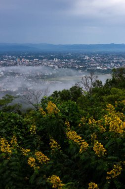 Şehrin yüksek açılı manzarası ve içinden sis geçiyor. Ön planda sarı çiçekler var. Chiang Mai, Tayland 'da birçok bina var.