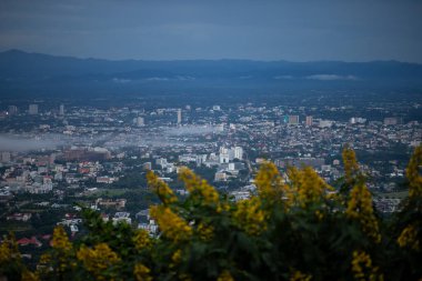 Şehrin yüksek açılı manzarası ön planda sarı çiçekler var. Chiang Mai, Tayland 'da birçok bina var.