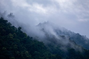 Yağmur mevsiminde dağların arka plan dokusu ve buzlu yağmur sisi, ormanın soğuk ve göze hoş gelen yeşil rengiyle serinletici ve ferahlatıcı geliyor..