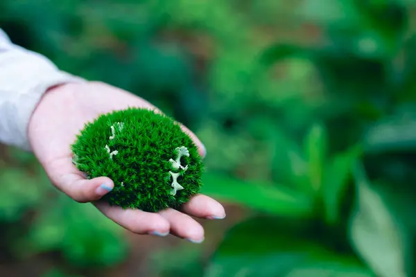 Selective focus moss ball in hands holding a green heart-shaped tree love nature save the world heal the world environmental preservation