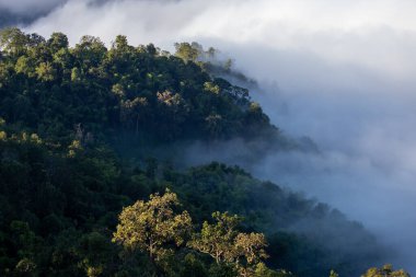 Yüksek açılı manzara dağları sisi. Metin için yer var..