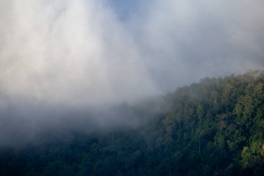 Yüksek açılı manzara dağları sisi. Metin için yer var..