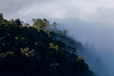 Yüksek açılı manzara dağları sisi. Metin için yer var..