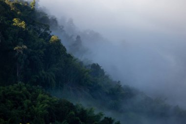 Yüksek açılı manzara dağları sisi. Metin için yer var..
