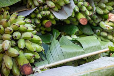 Kamyonda bir sürü yeşil muz var. Her zaman köylülerden taze muz al..