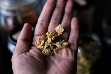 Seçici odaklanma, iyi kalite kurutulmuş kasımpatı çiçekleri elinde bitkisel çay dükkanında.