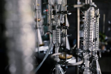 Soxhlet Extractor laboratuarında seçici odaklı cam. Percolator-buhar ve reflü, ısıtma elementinde damıtma şişesi. Organik kimya sınıfları. Eczane çıkarımı.