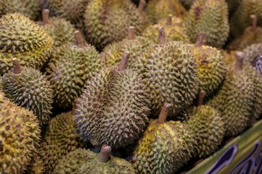 Tayland 'daki Chiang Mai Market' te bir sürü Monthong duristi var. Meyve sahiplerinin Tayland meyveleri, Çinli turistler arasında en sevilen gece pazarında satılır..