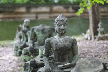 Eski bir ruhani taş heykeli olan antik Buda heykeli huzur içinde meditasyonda oturur. Yosun, sakin bilgeliği ve kalıcı tarihi geleneği yansıtan figürleri kapsar.