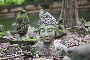 Antik Buda heykeli başları, yosun ile yıpranmış taşlar, yemyeşil bahçede derin bir huzur ve dinginlik hissi verir. Tarihsel taş figürler barışçıl bir vasiyet olarak duruyor.