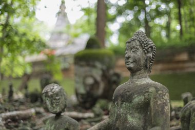 Kadim taş Buda heykelleri, Tayland 'daki yeşil yemyeşil yapraklarla çevrili huzurlu tapınaklarda dururlar. Bu ruhani figürler Asya 'da sakin bir atmosferi çağrıştırıyor.