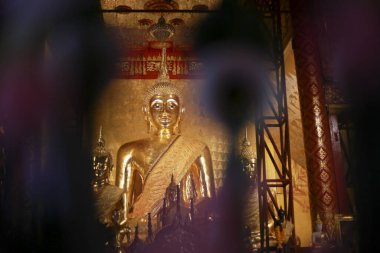 Muhteşem altın Buda heykeli, Antik Budist tapınağı Asya 'da derin dinginliği, ruhani sükuneti simgeler. Saygıdeğer dini anıt, inancın parlayan sembolü, barışçıl bir atmosfer yaratır.