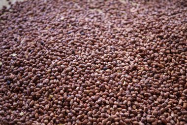 Küçük kahverengi tohumlar zengin, organik dokular oluşturur, doğal bolluk hissi uyandırır. Tarım için hayati önem taşıyan bu besin maddesi, birçok mutfak kullanımı için sağlıklı bir altyapı sunuyor.